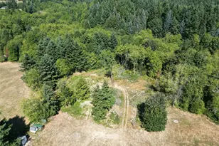 275 Studebaker Spur 2 Rd, Castle Rock, WA 98611 - Photo 16