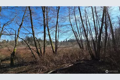 5707 Woodard Avenue, Freeland, WA 98249 - Photo 8