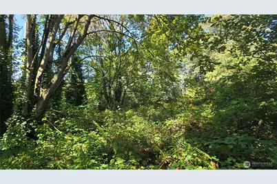 11 Xx NE Sunset Boulevard, Renton, WA 98056 - Photo 14