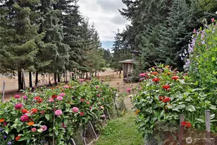 3230 Lake Leo Wy, Langley, WA 98260 - Photo 28