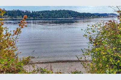 11415 Larson Road, Anderson Island, WA 98303 - Photo 32