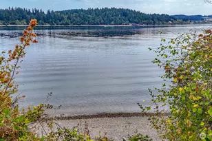 11415 Larson Rd, Anderson Island, WA 98303 - Photo 32