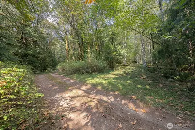 0 Ambridge Road, Sumas, WA 98295 - Photo 6