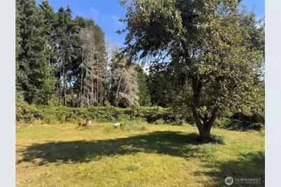 762 Elochoman Valley Road, Cathlamet, WA 98612 - Photo 26