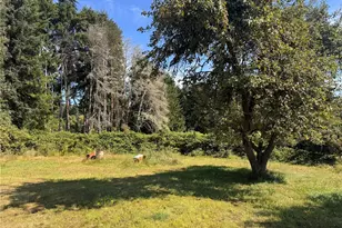 762 Elochoman Valley Rd, Cathlamet, WA 98612 - Photo 26