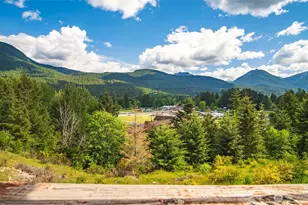 112 Alta Ln, Packwood, WA 98361 - Photo 6