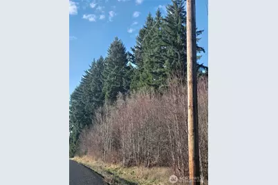 0 Clinton Road, Chehalis, WA 98532 - Photo 4