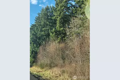 0 Clinton Road, Chehalis, WA 98532 - Photo 6