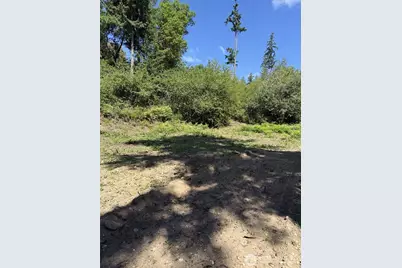 18703 Sr 302, Gig Harbor, WA 98329 - Photo 14