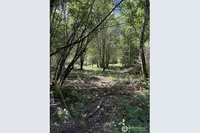 18703 Sr 302, Gig Harbor, WA 98329 - Photo 6