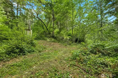 0 K-Tract 9 McDonald Road, Quilcene, WA 98376 - Photo 10