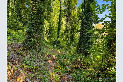 11912 53rd Street Ct E, Edgewood, WA 98372 - Photo 20