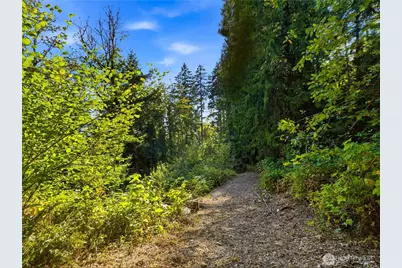 11912 53rd Street Ct E, Edgewood, WA 98372 - Photo 4