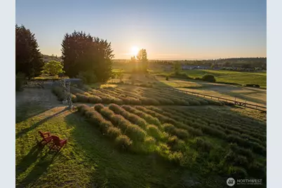 330 Bell Bottom Road, Sequim, WA 98382 - Photo 40