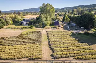 330 Bell Bottom Rd, Sequim, WA 98382 - Photo 1