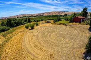 28005 N Crosby Rd, Prosser, WA 99350 - Photo 1