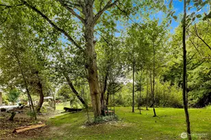 18686 Jolly Rd, Burlington, WA 98233 - Photo 38