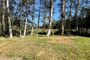 210 E Rain St, Ocean Shores, WA 98569 - Photo 28