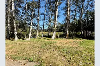 210 E Rain Street, Ocean Shores, WA 98569 - Photo 6
