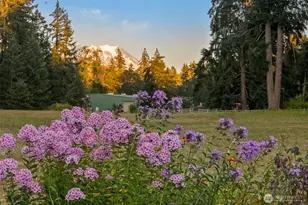 26117 34th Ave E, Spanaway, WA 98387 - Photo 4