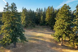 26117 34th Ave E, Spanaway, WA 98387 - Photo 40