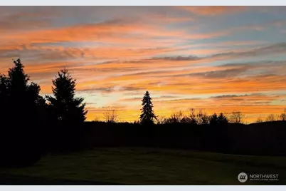 4523 Pleasant Hill Road, Kelso, WA 98626 - Photo 40