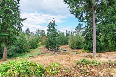 12517 Kapowsin Highlands Drive E, Graham, WA 98338 - Photo 32