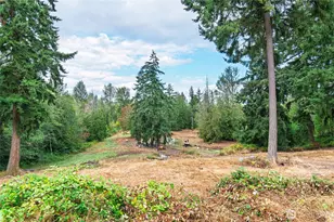 12517 Kapowsin Highlands Dr E, Graham, WA 98338 - Photo 32