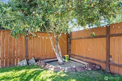 4312 214th St Court E, Spanaway, WA 98387 - Photo 26