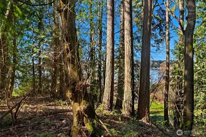 11 Xx 205th Avenue NE, Sammamish, WA 98075 - Photo 10