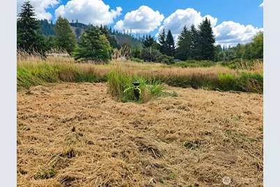 11301 Grandview Road, Arlington, WA 98223 - Photo 6