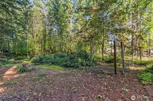 213 W 2nd St, Ryderwood, WA 98581 - Photo 32