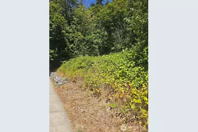 250 X Callow Road, Lake Stevens, WA 98258 - Photo 4