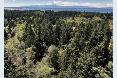 1 Scenic Avenue, Freeland, WA 98249 - Photo 24