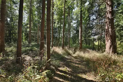 2 Scenic Avenue, Freeland, WA 98249 - Photo 26