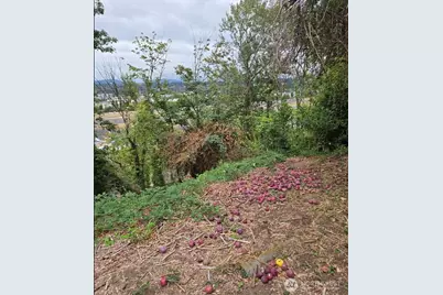 7 Xx Rainier Avenue N, Renton, WA 98057 - Photo 12