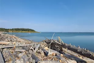 214 Driftwood Shores, Camano Island, WA 98282 - Photo 4