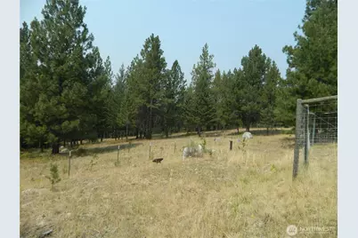 96 Horn Ranch Road, Tonasket, WA 98855 - Photo 30