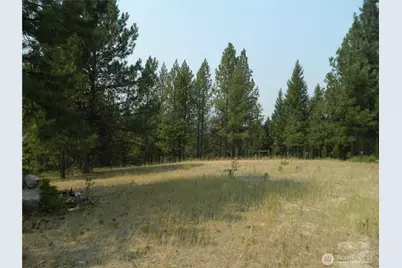 96 Horn Ranch Road, Tonasket, WA 98855 - Photo 32
