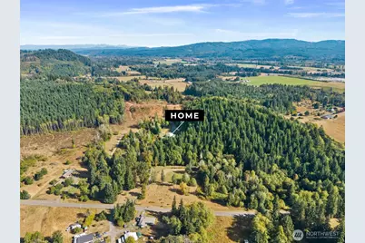 254 Williams Creek Road, Oakville, WA 98568 - Photo 6