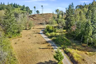 254 Williams Creek Rd, Oakville, WA 98568 - Photo 10