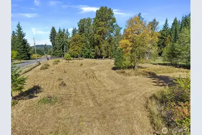 254 Williams Creek Road, Oakville, WA 98568 - Photo 8