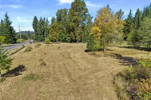 254 Williams Creek Rd, Oakville, WA 98568 - Photo 8