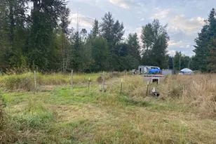 12519 288th St E, Graham, WA 98338 - Photo 38