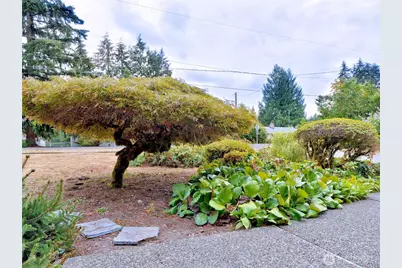 9802 58th Avenue Ct E, Puyallup, WA 98373 - Photo 30