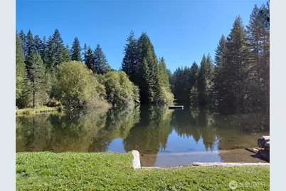 101 Mountain View Dr. N, Ashford, WA 98304 - Photo 40
