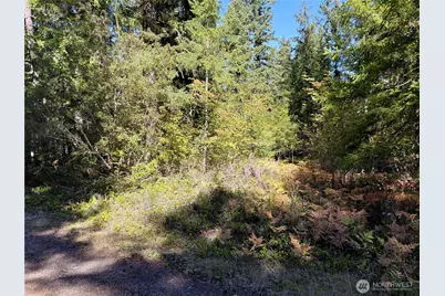 101 Mountain View Dr. N, Ashford, WA 98304 - Photo 34