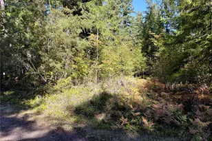 101 Mountain View Dr N, Ashford, WA 98304 - Photo 34