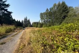 806 15th Ave SE, Puyallup, WA 98372 - Photo 10
