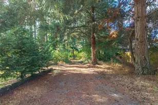 18812 8th Ave E, Spanaway, WA 98387 - Photo 38